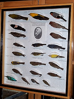 Museum der Klassischen Universitä