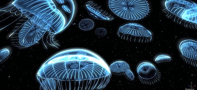 Fluoreszierende Quallen in den Tiefen der irdischen Ozeane