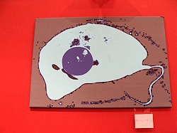 Die Beluga  Maus