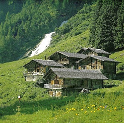 Tiroler Bergwelt Alm Tiroler Bergwelt Alm