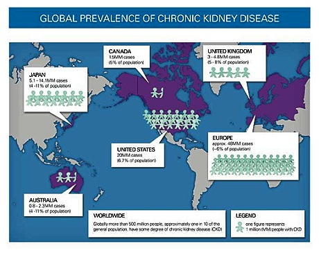 Schaubild