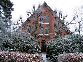 Winter