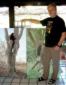 Wolf Tekook und zwei seiner Baummotive als große Leinwand-Drucke Wolf Tekook und zwei seiner Baummotive als große Leinwand-Drucke
